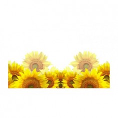Panou bucatarie, protectie plita, aragaz, antistropire, print UV model Floarea Soarelui 125x50 cm Decoglass